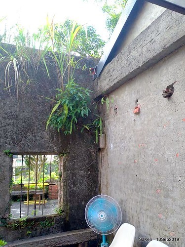 Cafe Hytte, nearby Sandiaoling, Hsinpei City, Taiwan, SJKen, Sep 13, 2019