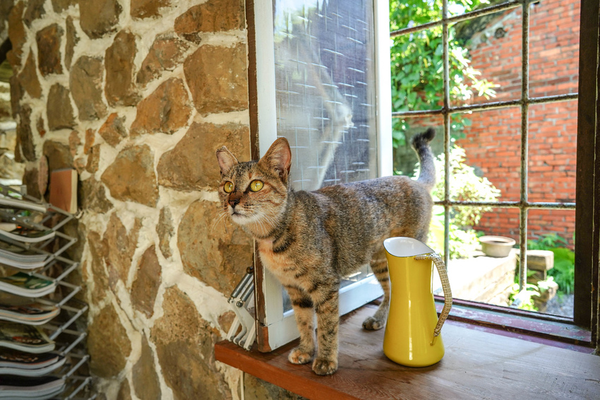 DSC07021.jpg DSC07021.jpg