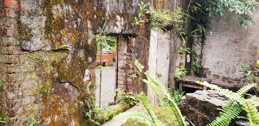 182259.jpg - 【新北.瑞芳】三貂嶺廢墟咖啡。Cafe Hytte隱藏版秘境咖啡超好拍