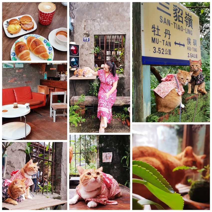 182242.jpg - 【新北.瑞芳】三貂嶺廢墟咖啡。Cafe Hytte隱藏版秘境咖啡超好拍