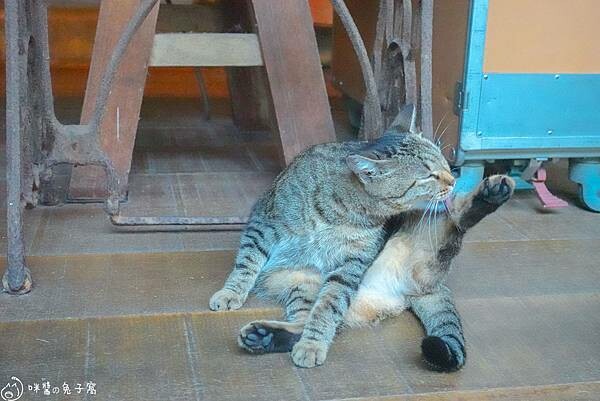 三貂嶺美食。Cafe Hytte 隱藏在新北瑞芳鐵道邊的咖