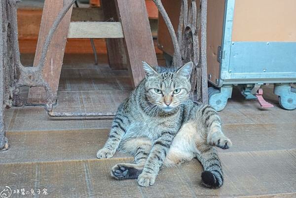 三貂嶺美食。Cafe Hytte 隱藏在新北瑞芳鐵道邊的咖