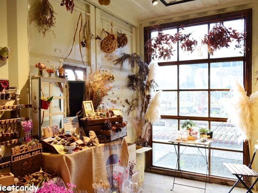 田尾景點_綠果庭院│彰化田尾免費網美打卡景點推薦，全台唯二蒲公英的永生花~ - 愛伊特candy的分享樂園