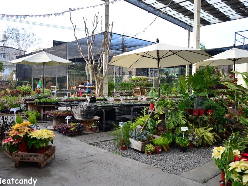 田尾景點_綠果庭院│彰化田尾免費網美打卡景點推薦，全台唯二蒲公英的永生花~ - 愛伊特candy的分享樂園