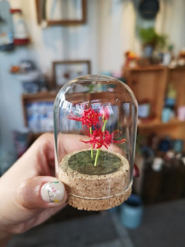 田尾景點_綠果庭院│彰化田尾免費網美打卡景點推薦，全台唯二蒲公英的永生花~ - 愛伊特candy的分享樂園