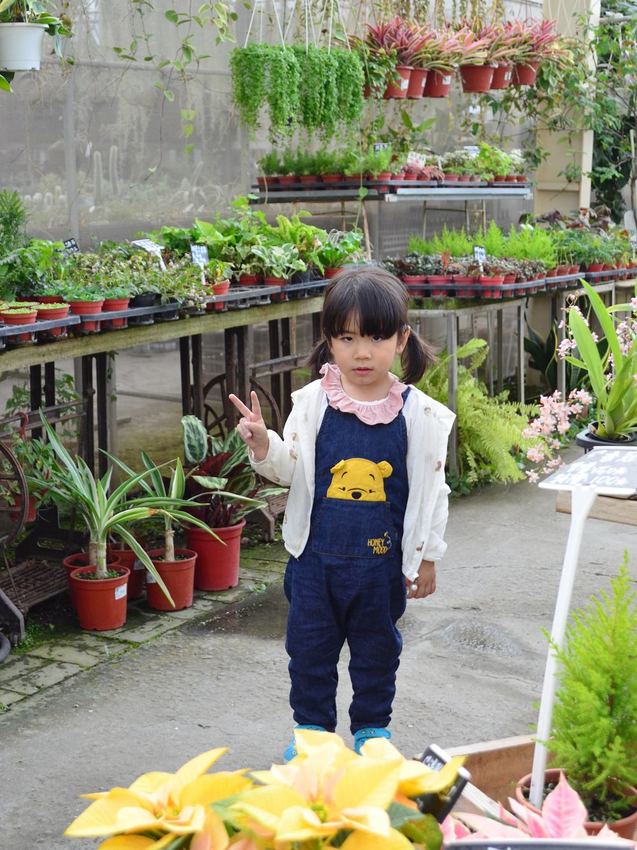 田尾景點_綠果庭院│彰化田尾免費網美打卡景點推薦，全台唯二蒲公英的永生花~ - 愛伊特candy的分享樂園