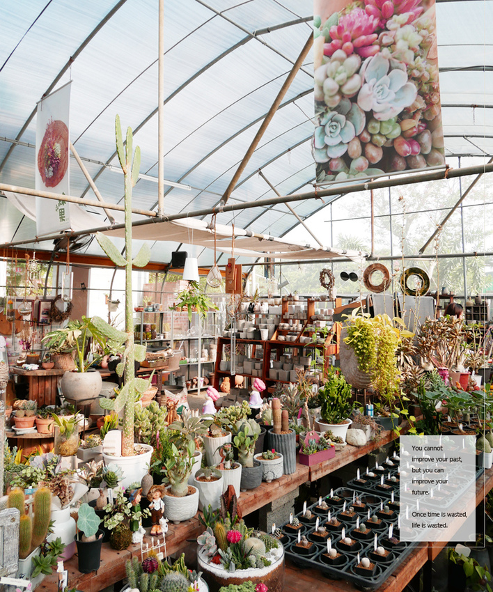 彰化田尾 ▎綠果庭院：Green Life多肉植物重鎮、多肉組盆、網美必訪 - 婗媽。甜栗子的品味生活／美妝保養