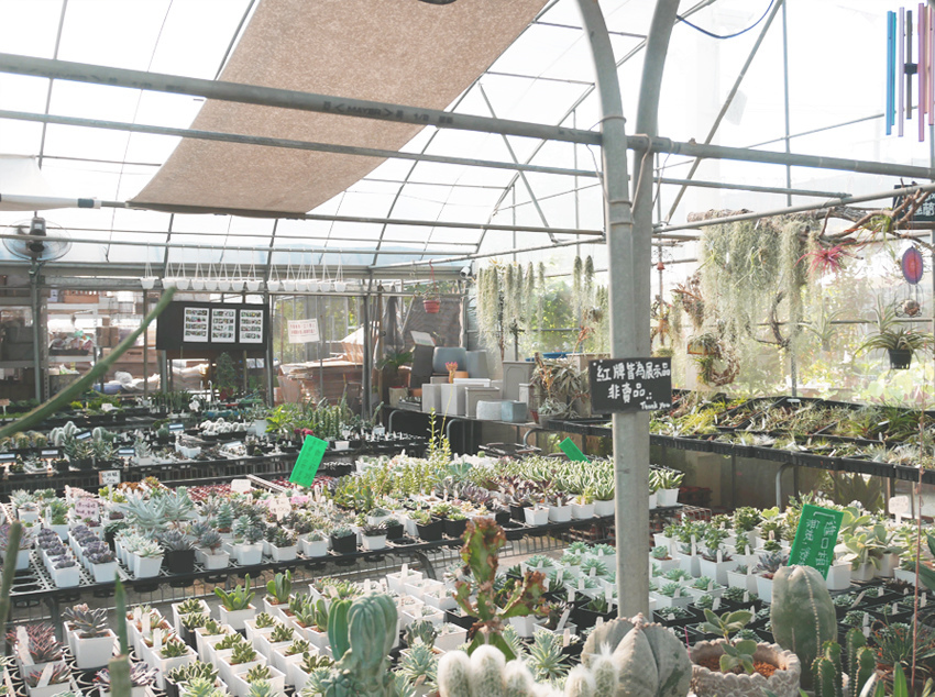 彰化田尾 ▎綠果庭院：Green Life多肉植物重鎮、多肉組盆、網美必訪 - 婗媽。甜栗子的品味生活／美妝保養