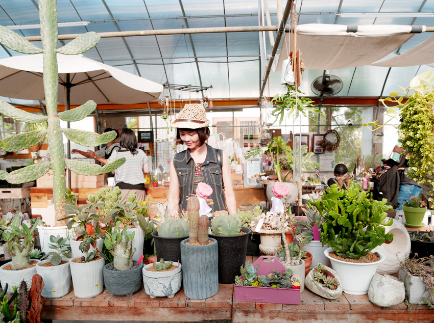 彰化田尾 ▎綠果庭院：Green Life多肉植物重鎮、多肉組盆、網美必訪 - 婗媽。甜栗子的品味生活／美妝保養