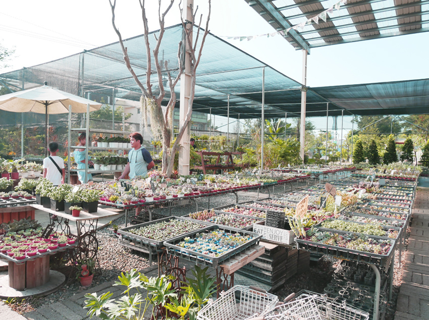 彰化田尾 ▎綠果庭院：Green Life多肉植物重鎮、多肉組盆、網美必訪 - 婗媽。甜栗子的品味生活／美妝保養