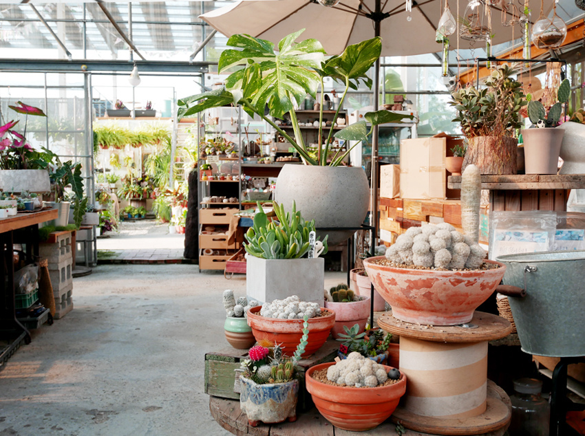 彰化田尾 ▎綠果庭院：Green Life多肉植物重鎮、多肉組盆、網美必訪 - 婗媽。甜栗子的品味生活／美妝保養