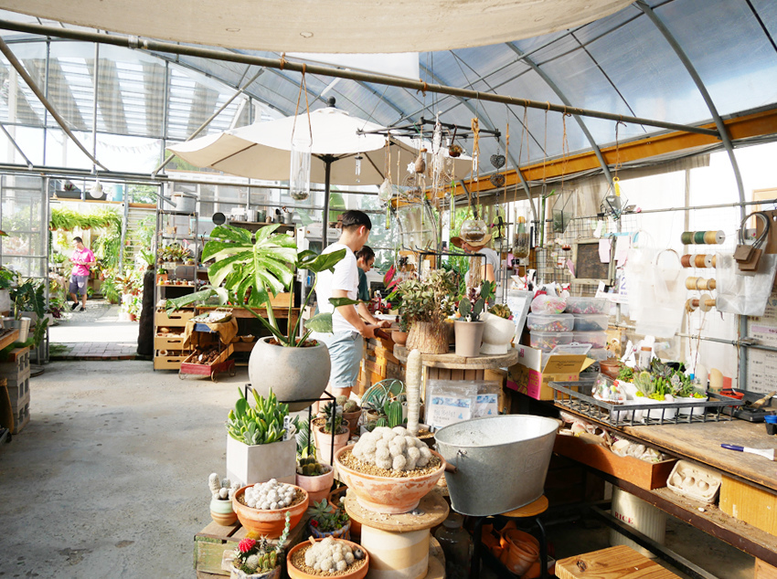 彰化田尾 ▎綠果庭院：Green Life多肉植物重鎮、多肉組盆、網美必訪 - 婗媽。甜栗子的品味生活／美妝保養