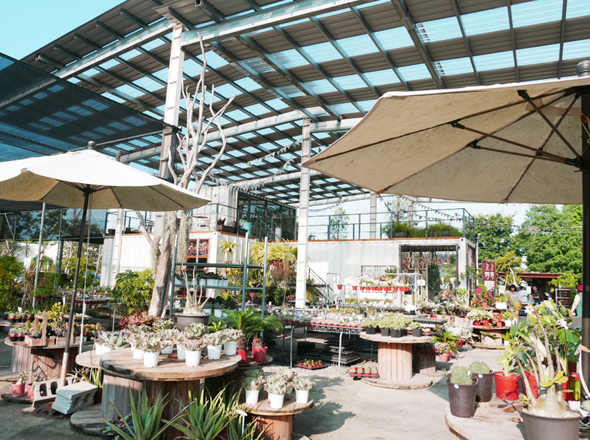 彰化田尾 ▎綠果庭院：Green Life多肉植物重鎮、多肉組盆、網美必訪 - 婗媽。甜栗子的品味生活／美妝保養