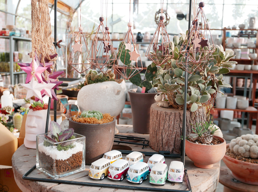 彰化田尾 ▎綠果庭院：Green Life多肉植物重鎮、多肉組盆、網美必訪 - 婗媽。甜栗子的品味生活／美妝保養