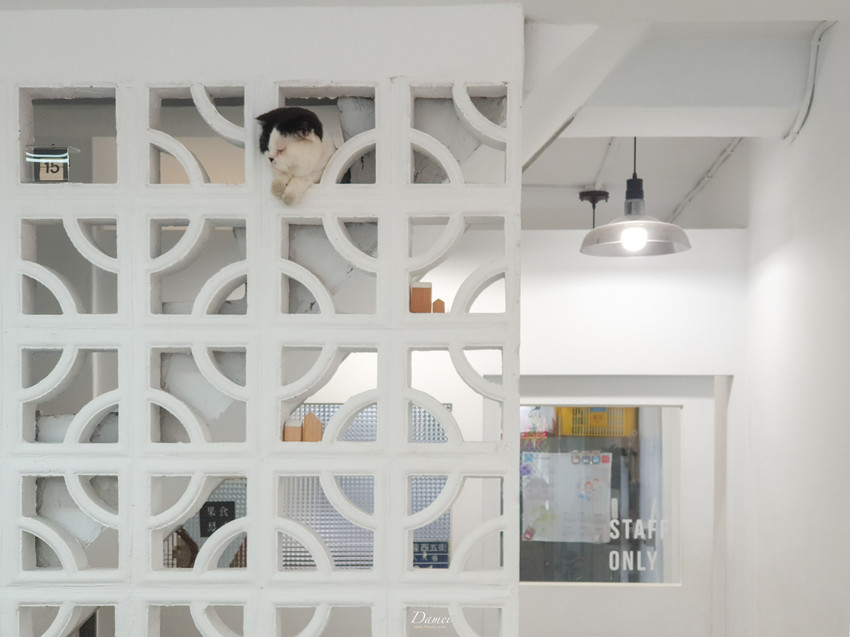 台中西區｜果食男子-結合當季在地水果，打造出不凡冰品