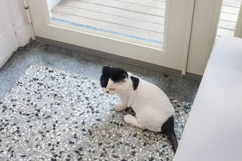 台中西區｜果食男子-結合當季在地水果，打造出不凡冰品