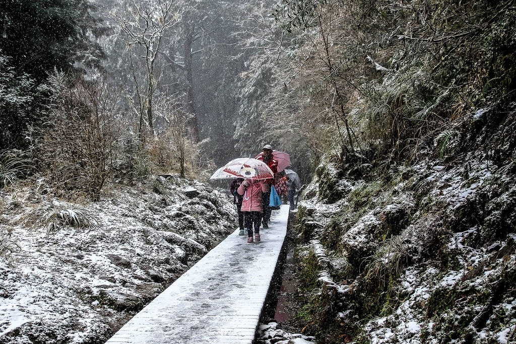 27747924_1822903188006959_7233487236704935958_o