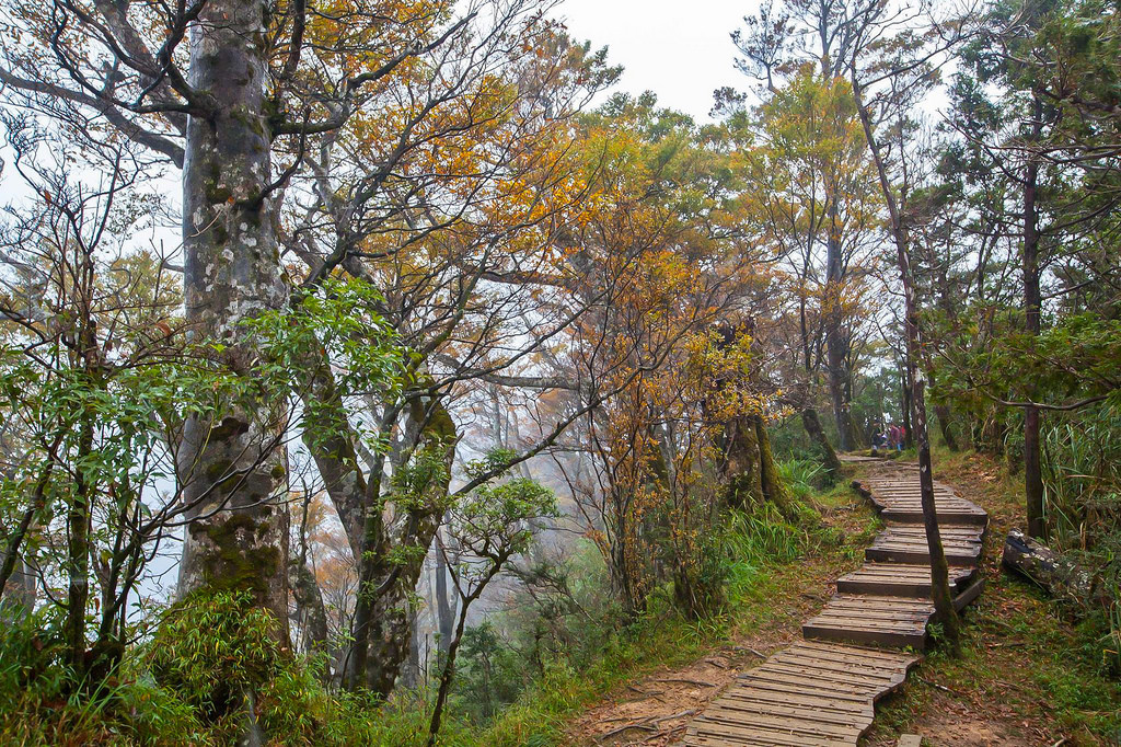 23270517_1620074228045428_144134562243627087_o