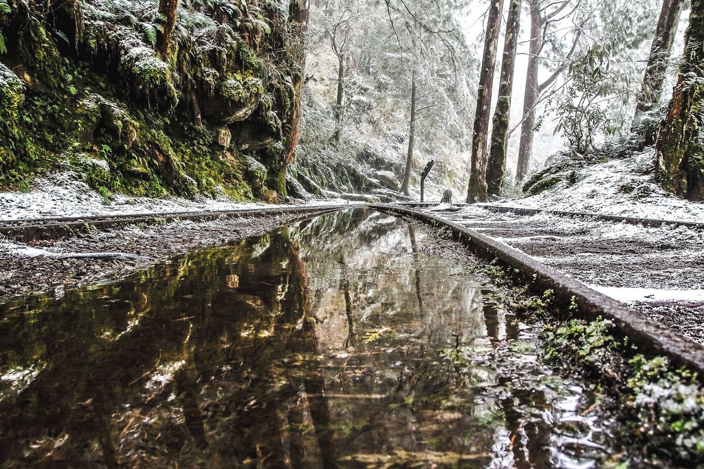 27711619_1822989767998301_1401956049_o