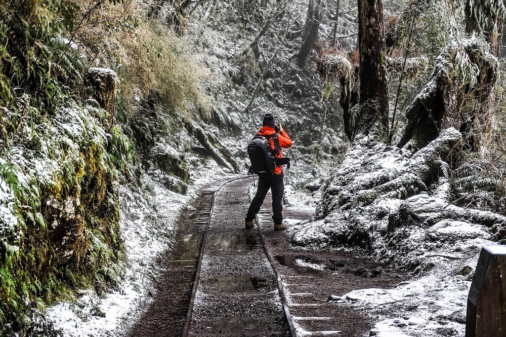 27501134_1822903181340293_5331887509889857009_o