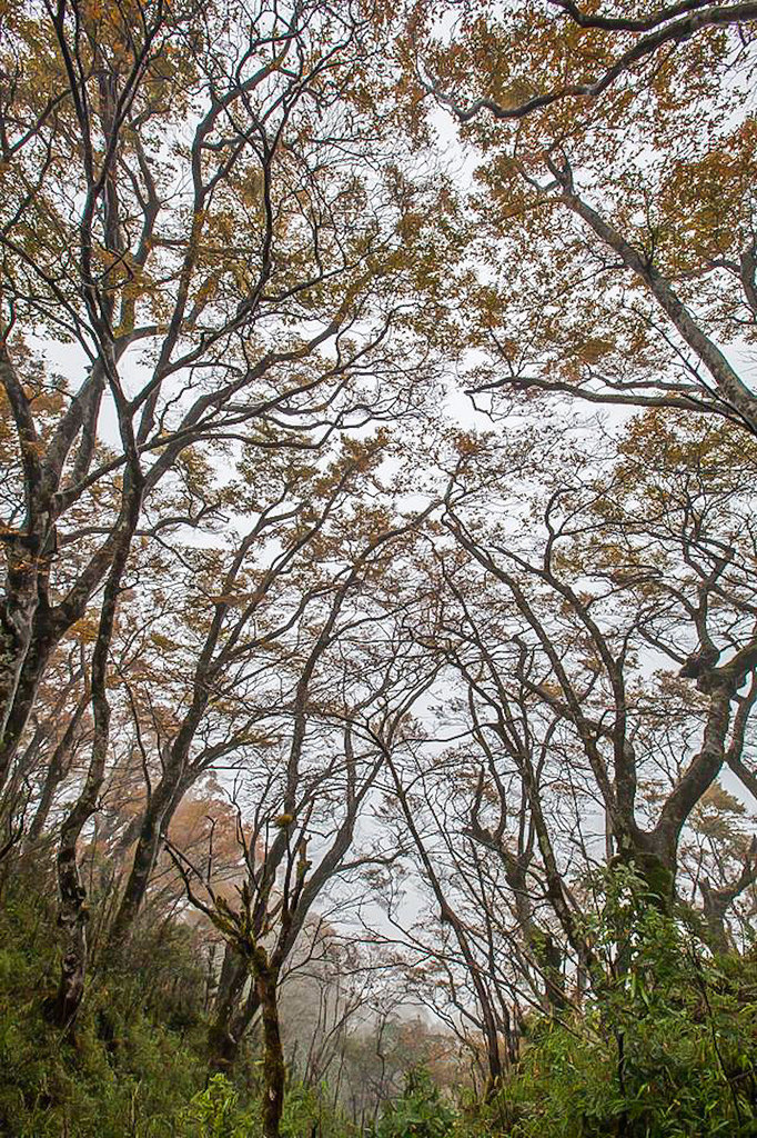 23376157_1620075344711983_5937303265594845556_n