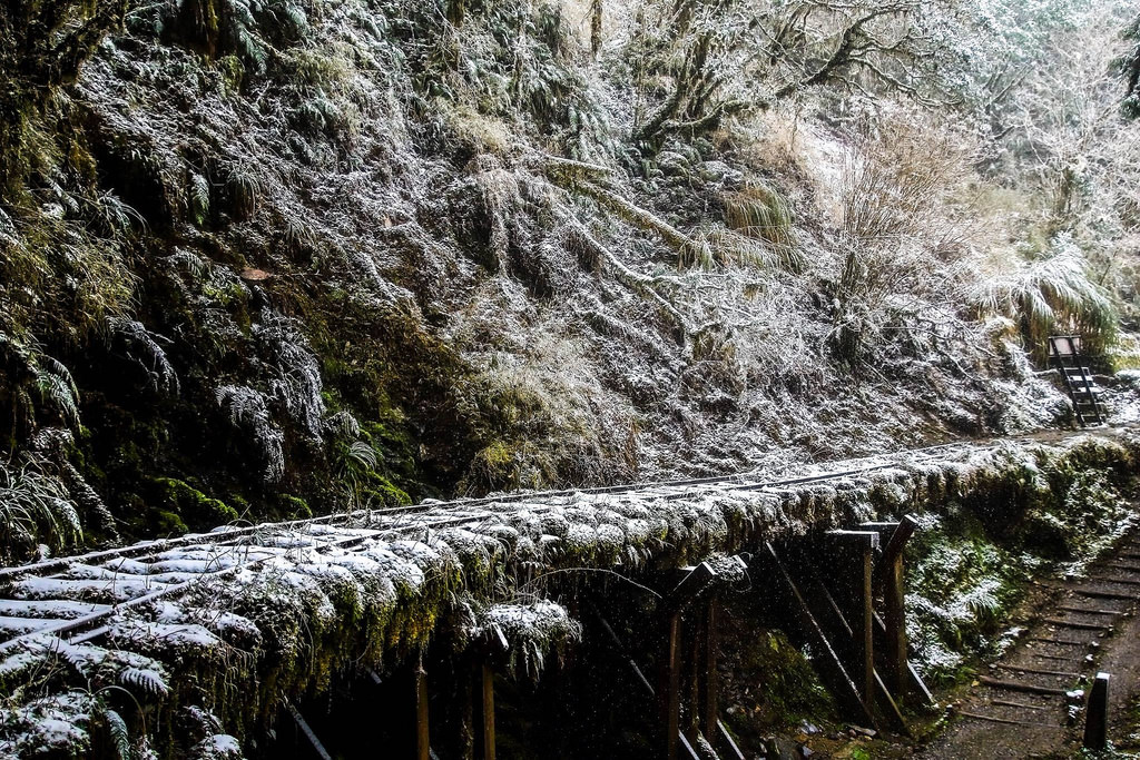 27503667_1822903464673598_5189453576924892704_o