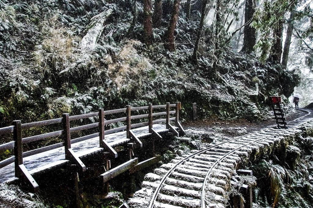 27788087_1822903244673620_6585937756338552831_o