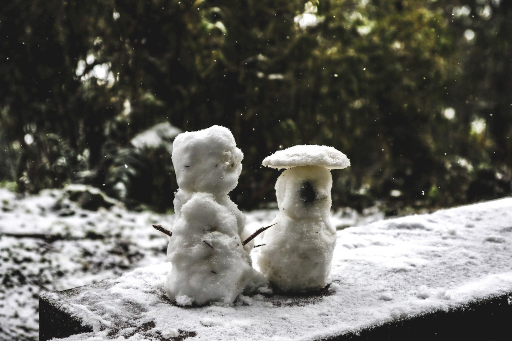 27500646_1822903428006935_8554991244043373040_o