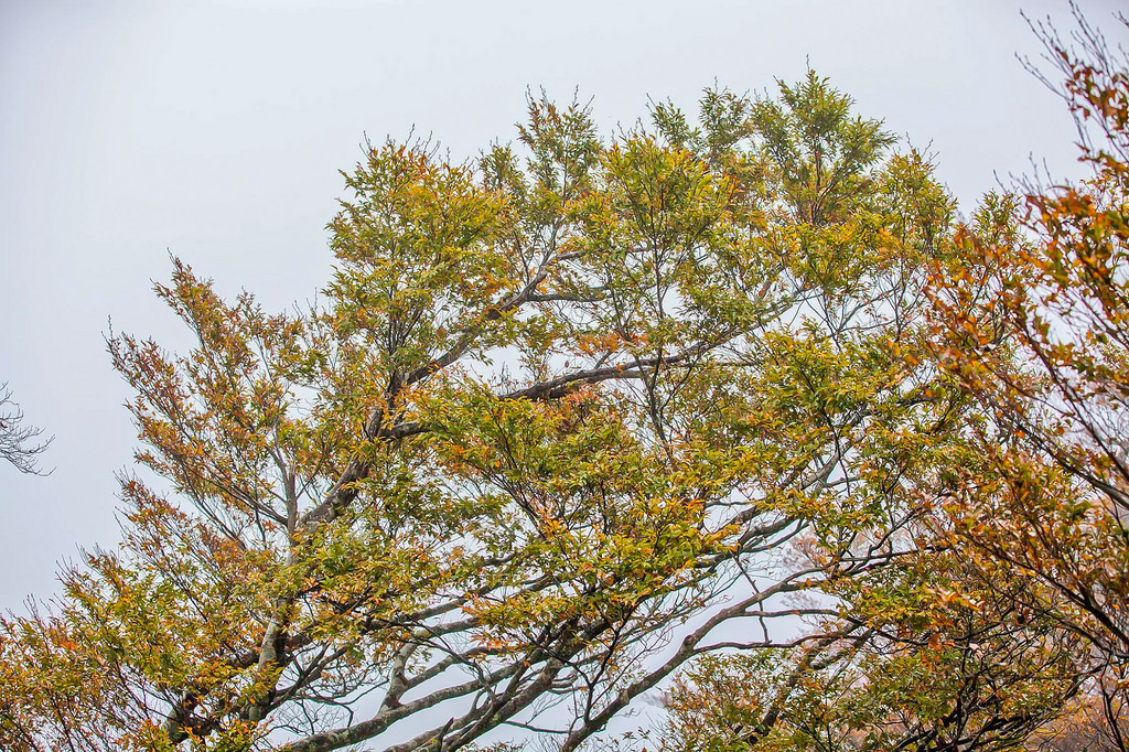 23275683_1620076261378558_280605648913273495_o