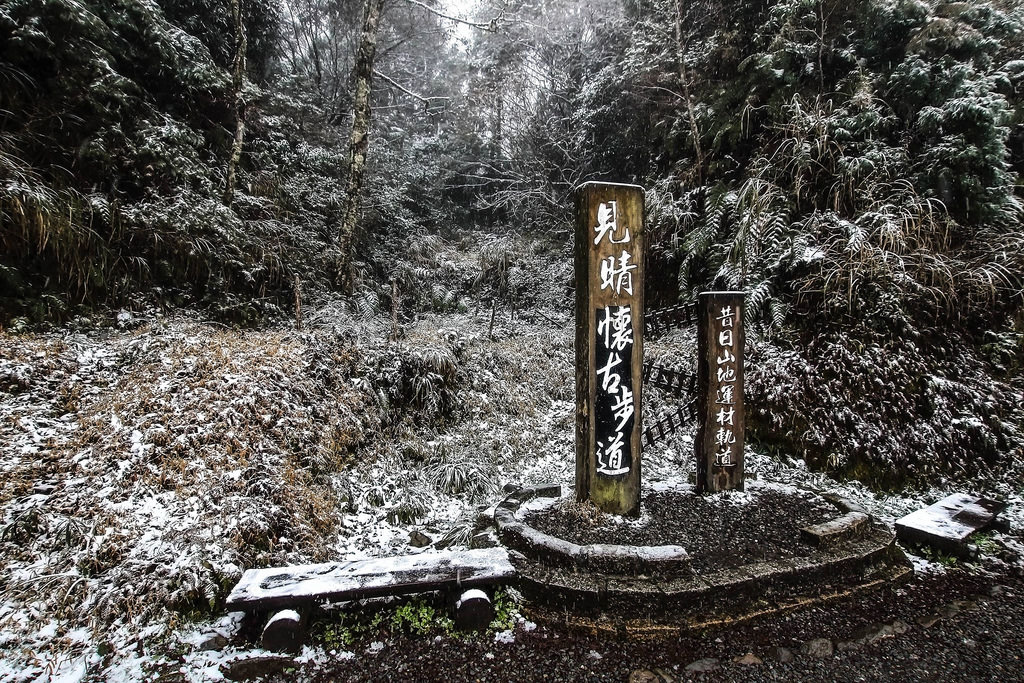 BlueStacks_ScreenShot1