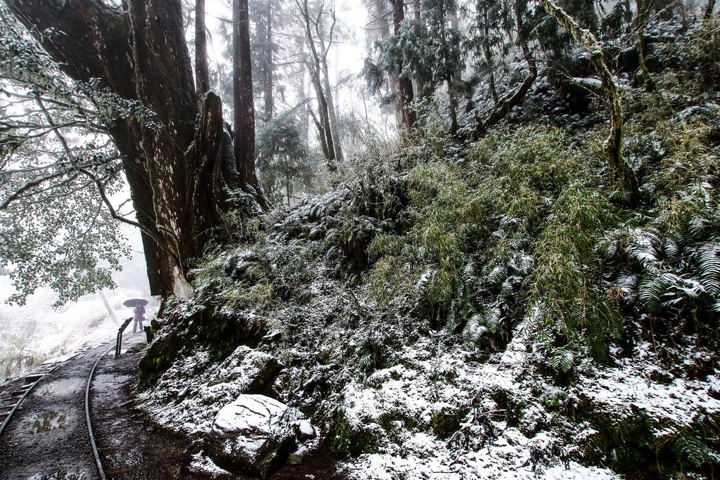 27503971_1822903618006916_5534021874428845196_o