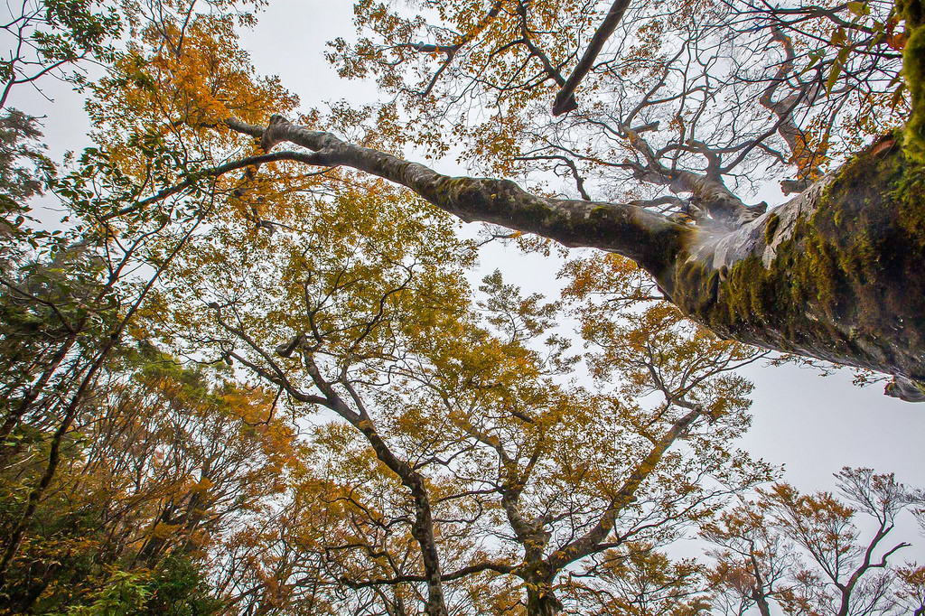 23270365_1620074231378761_8828755129462059617_o