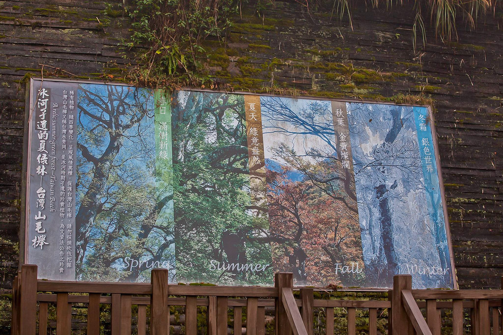 23275445_1620076364711881_9004547564386275014_o