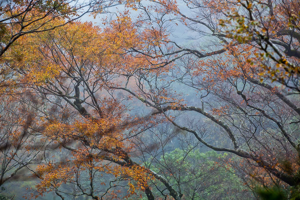 23275738_1620076291378555_3776111428889427785_o