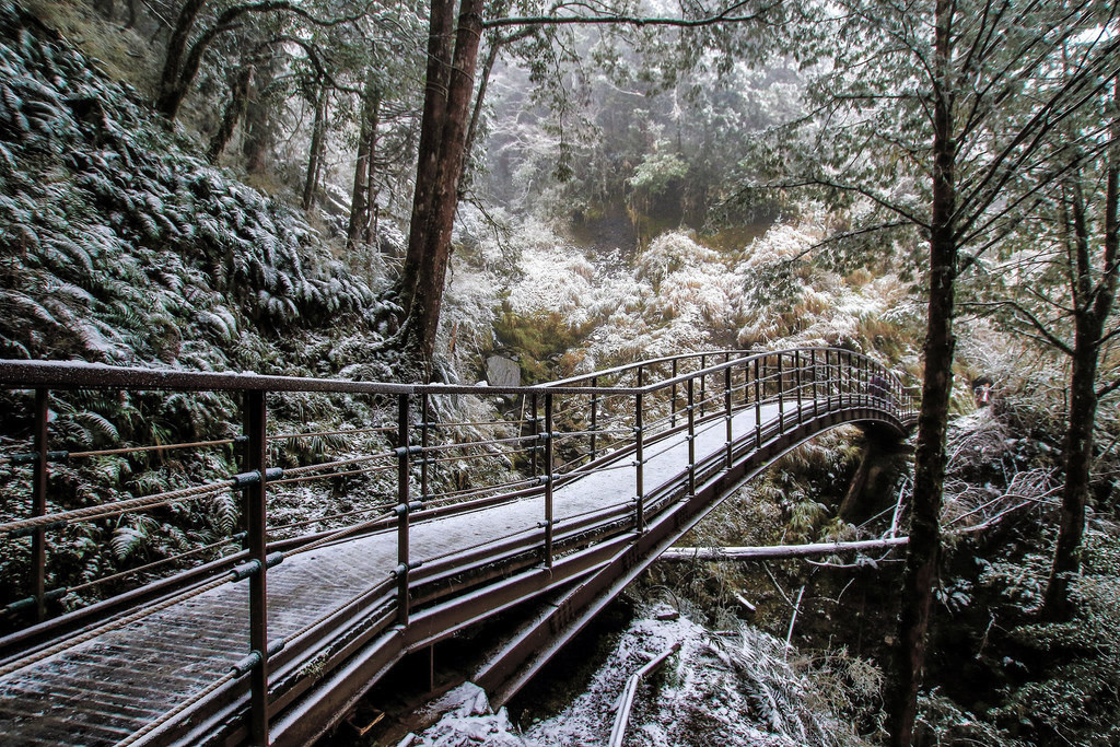 27624734_1822903518006926_2106884256653936379_o