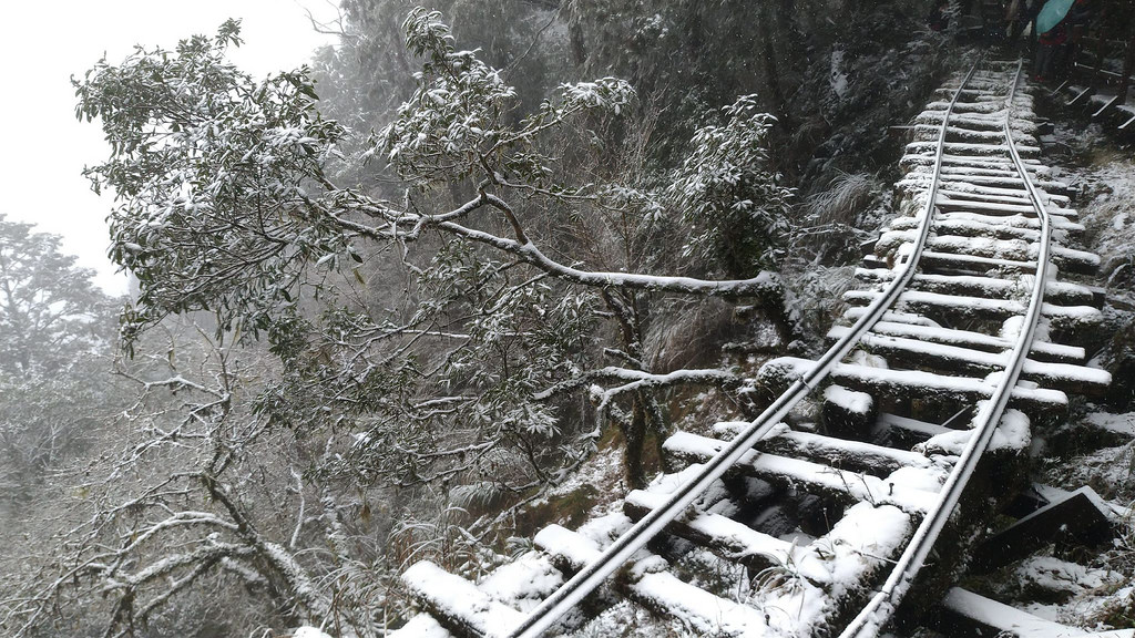 27711109_1823001171330494_1591700875_o