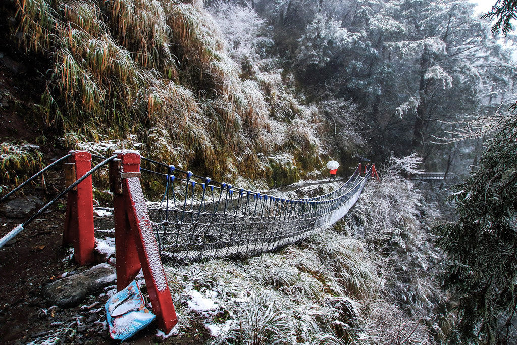 27500582_1822903538006924_1136931181249119741_o