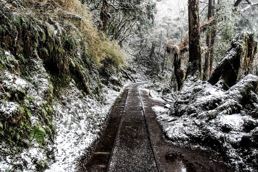 27744097_1822989774664967_670953668_o