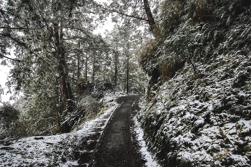 27710868_1822953098001968_339388020_o