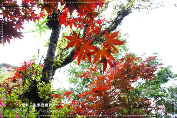 DSC05053.JPG DSC05053.JPG