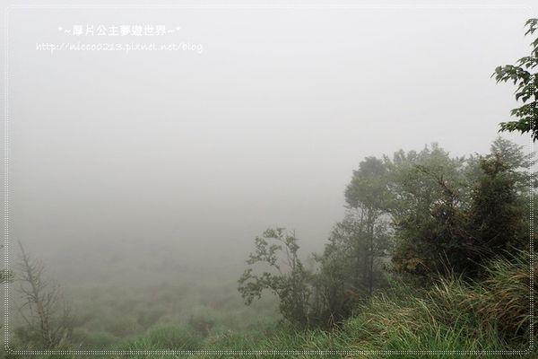 P5260139.JPG P5260139.JPG