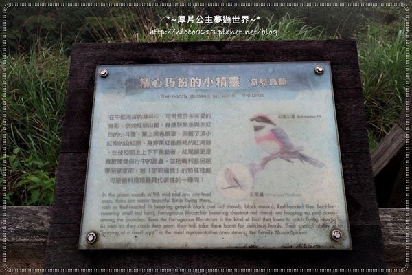 P5260135.JPG P5260135.JPG