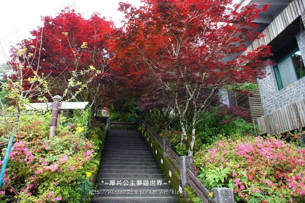 DSC05023.JPG DSC05023.JPG