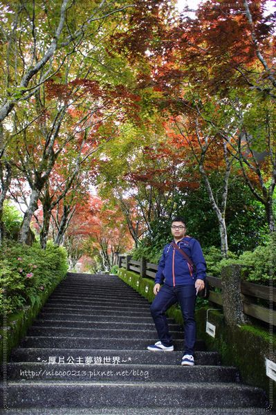 DSC05040.JPG DSC05040.JPG