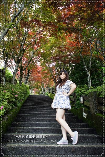 DSC05044.JPG DSC05044.JPG