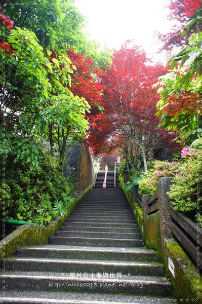 DSC05020.JPG DSC05020.JPG