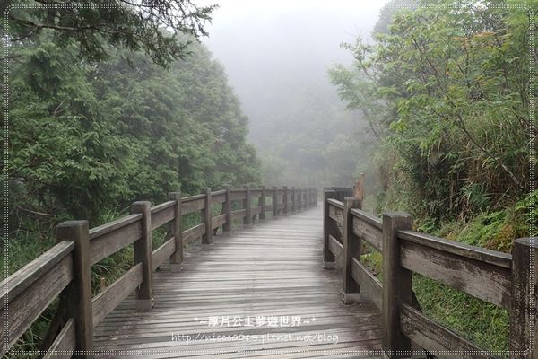 P5260127.JPG P5260127.JPG