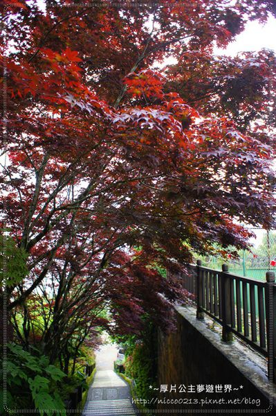 DSC05024.JPG DSC05024.JPG