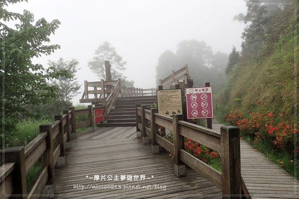 P5260140.JPG P5260140.JPG