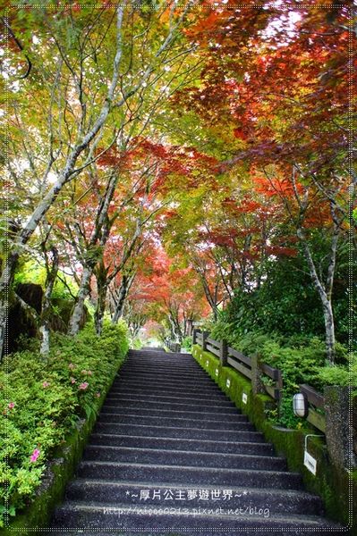 DSC05034.JPG DSC05034.JPG